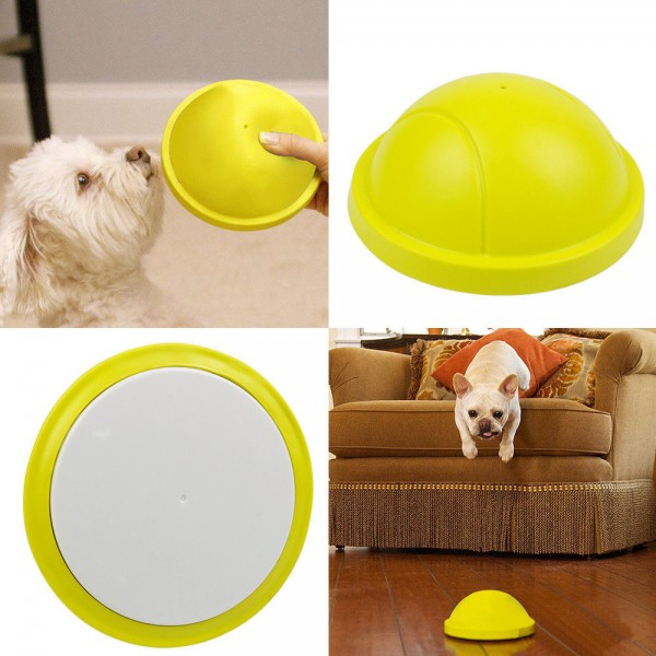 Product Image for Jucarie Catei Chitaitoare care Aluneca pe Mocheta K9 Cruiser