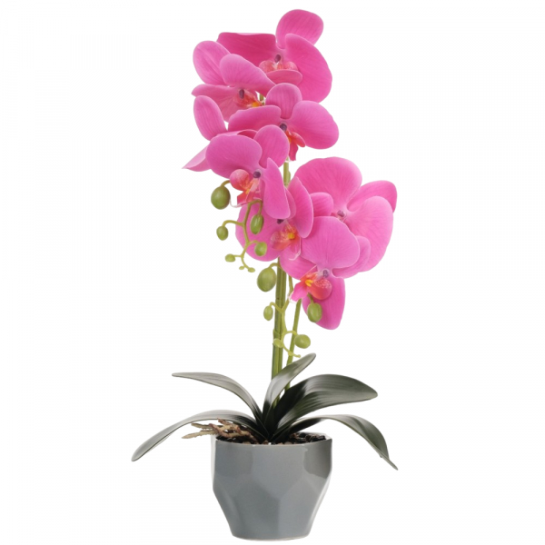 Product Image for Orhidee Artificiala Div.Culori Ghiveci Ceramic 50x12cm Wei A80101 DNC50355
