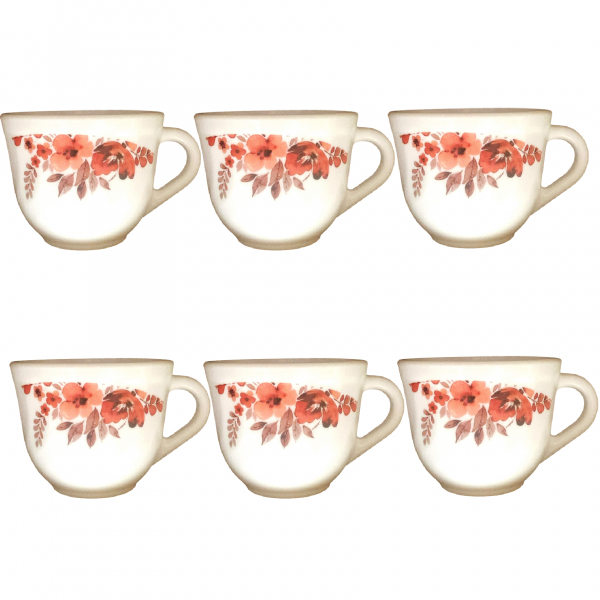 Product Image for Set 6 Cesti Cafea Opal Alb Model EVA 220ml DNC56135