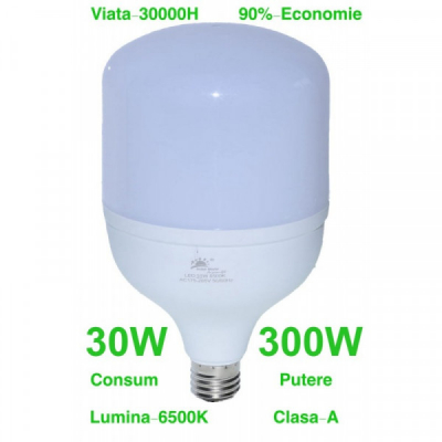 Bec LED Economic Tubular 30W 6500K E27 20x11cm 18C032 XXM