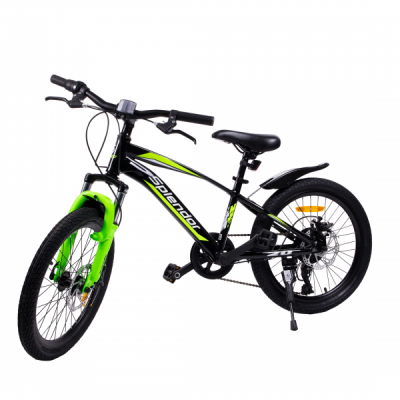 Bicicleta pentru copii 20 Inch Splendor Verde BAF20N JGR