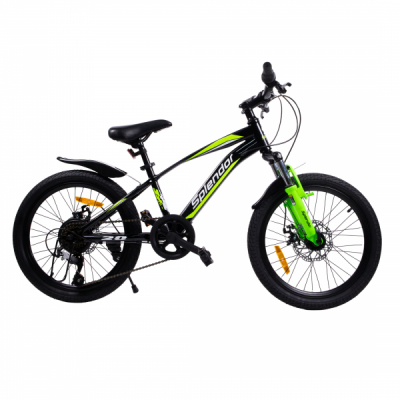 Bicicleta pentru copii 20 Inch Splendor Verde BAF20N JGR