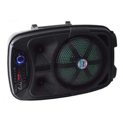 Boxa Karaoke Bluetooth Microfon Acumulator Telecomanda FM Radio CH818 13A051 XXM
