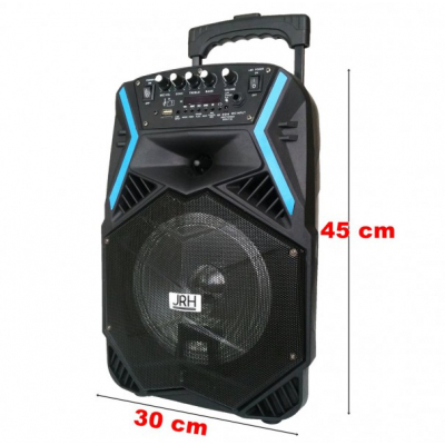 Boxa Portabila cu BT, FM, USB, SD, MIC si Telecomanda JRH A81