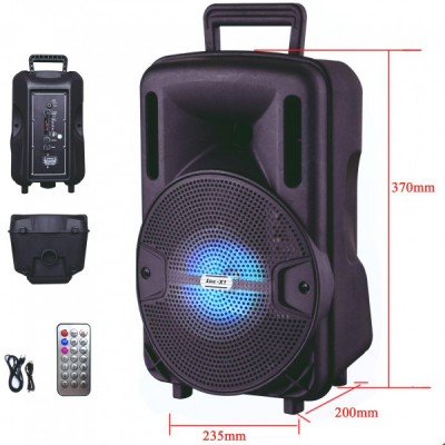 Boxa Portabila cu FM AUX SD USB MP3 si Telecomanda Ailiang LigeX1