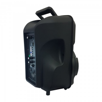 Boxa Portabila cu FM USB SD MIC si Telecomanda Ailiang Lige A811DT