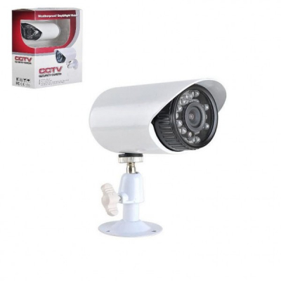 Camera Video CCTV cu Infrarosu 24 LED 24LM529AKT