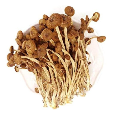 Ciuperci Uscate Arbore de Ceai TeaTree Cyclocybe Aegerita XianErjia 125g XEJ MLL