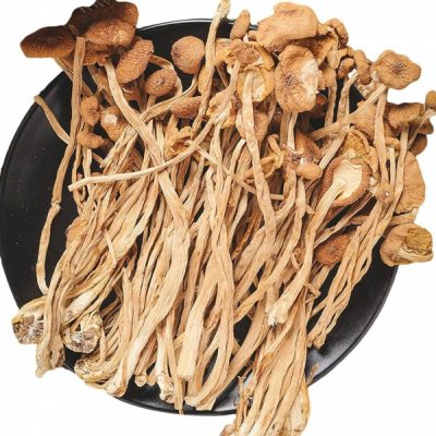 Ciuperci Uscate Arbore de Ceai TeaTree Cyclocybe Aegerita 500g BBF MLL