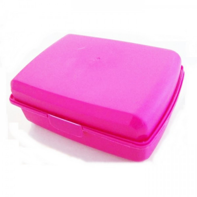 Cutie sandwich din plastic 517