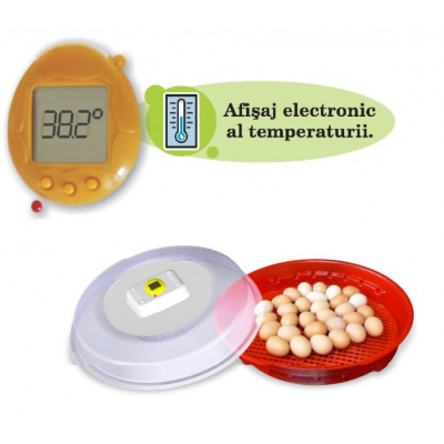 Incubator, Clocitoare oua IO102T