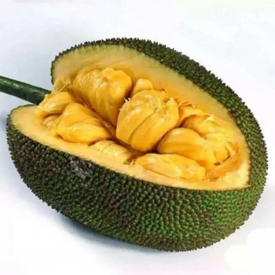 Jackfruit Fructe Liofilizate Delicioase YLYS 20g MLL