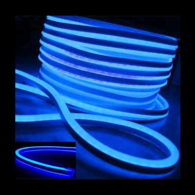 Neon Flex Furtun Luminos Albastru Controller JOCURI 2Fete 1.5cm 100m