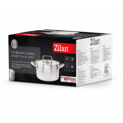 Oala otel inoxidabil capac de sticla 2.5L 20cm Zilan ZLN1313