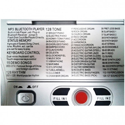 Orga electronica 61 de clape USB MP3 si Bluetooth XY613