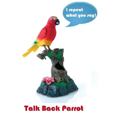 Papagal de jucarie din plastic  repeta ceea ce i se spune