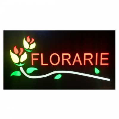 Reclama Luminoasa Panou LEDuri Animate Florarie tip NEON 50x25cm KNH