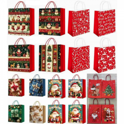 Set 12 Pungi Carton de Craciun DIV.Modele 40x55x15cm SD-80043 WEI DNC54244