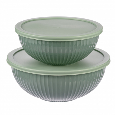 Set 2 caserole din sticla termorezistenta cu capace 2L 3L LexiHome LB6727 JGR