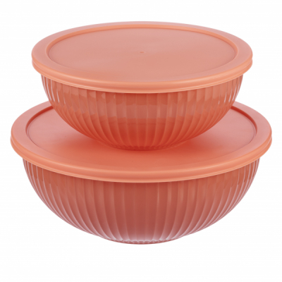 Set 2 caserole din sticla termorezistenta cu capace 2L 3L LexiHome LB7045 JGR