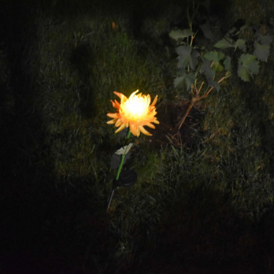 Set 4 Lampi Solare Pentru Casa si Gradina Flori Crizantema Galbena