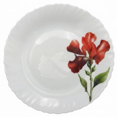 Set 6 Farfurii Adanci Opal Sabrina Red 23cm DNC67372