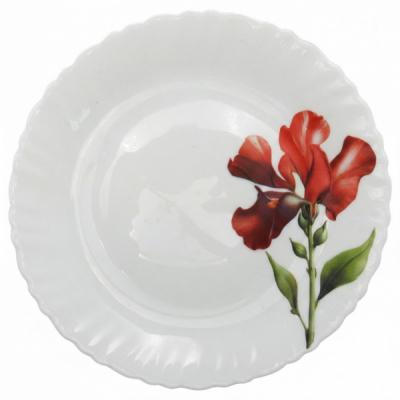 Set 6 Farfurii Intinse Opal Sabrina Red 26cm DNC67370