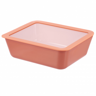 Vas din sticla termorezistenta cu capac din sticla 2.6L LexiHome LB7050 JGR
