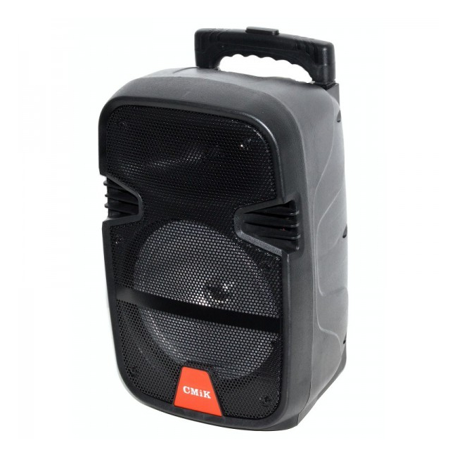 Boxa Portabila cu Acumulator, Bluetooth Radio USB Card TF MKA12