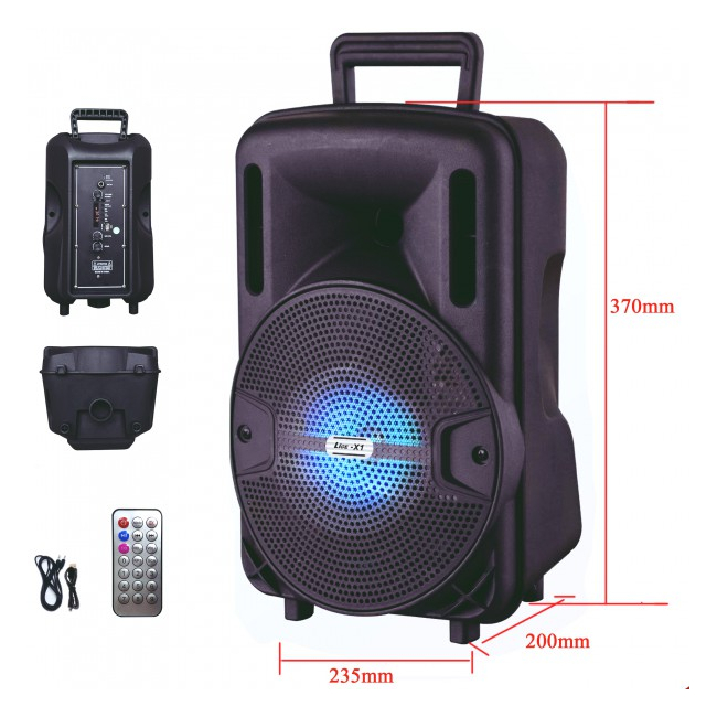 Boxa Portabila cu FM AUX SD USB MP3 si Telecomanda Ailiang LigeX1