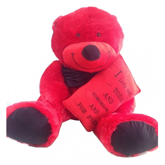 Cadou Indragostiti Ursulet de Plus Rosu 80cm cu Mesaj