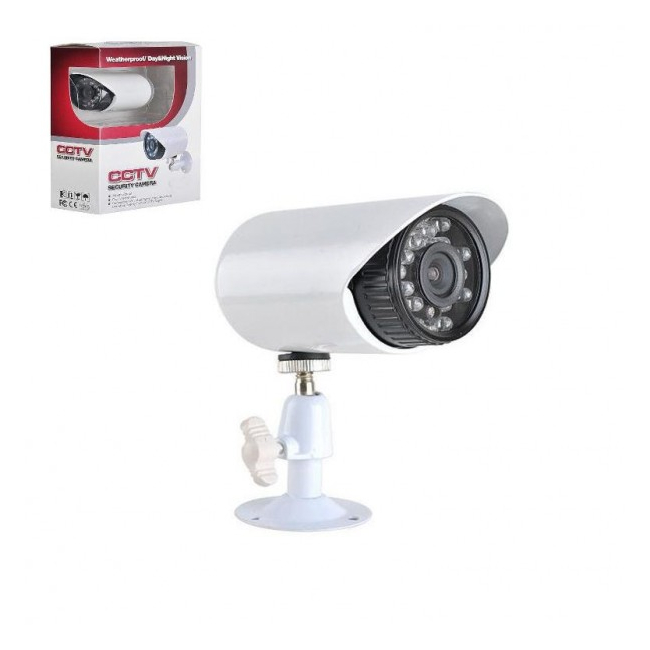 Camera Video CCTV cu Infrarosu 24 LED 24LM529AKT