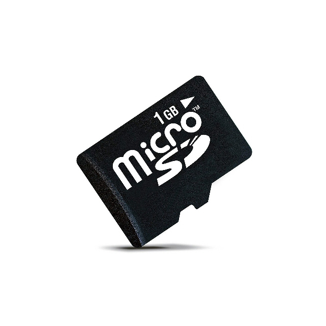 Card Memorie MicroSD 1Gb