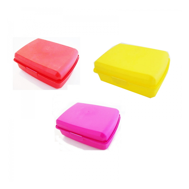 Cutie sandwich din plastic 517