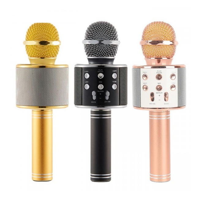 chart humor brand name Microfon Wireless Karaoke cu Bluetooth, Boxa, USB si SD Card WS858 Preturi  Ieftine