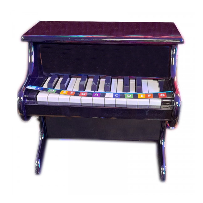 Mini pian de jucarie pentru copii Little Snail 11 clape 3 ani+