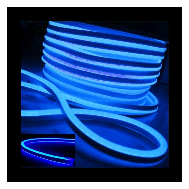 Neon Flex Furtun Luminos Albastru Controller JOCURI 2Fete 1.5cm 100m