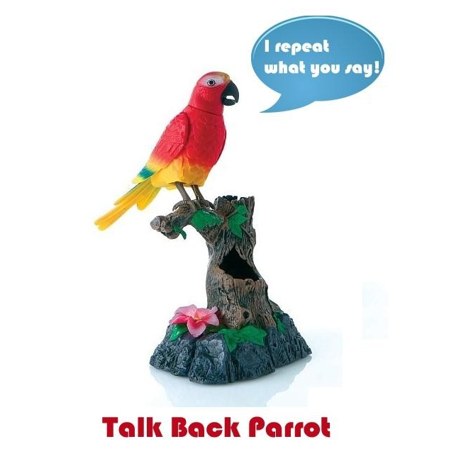 Papagal de jucarie din plastic  repeta ceea ce i se spune