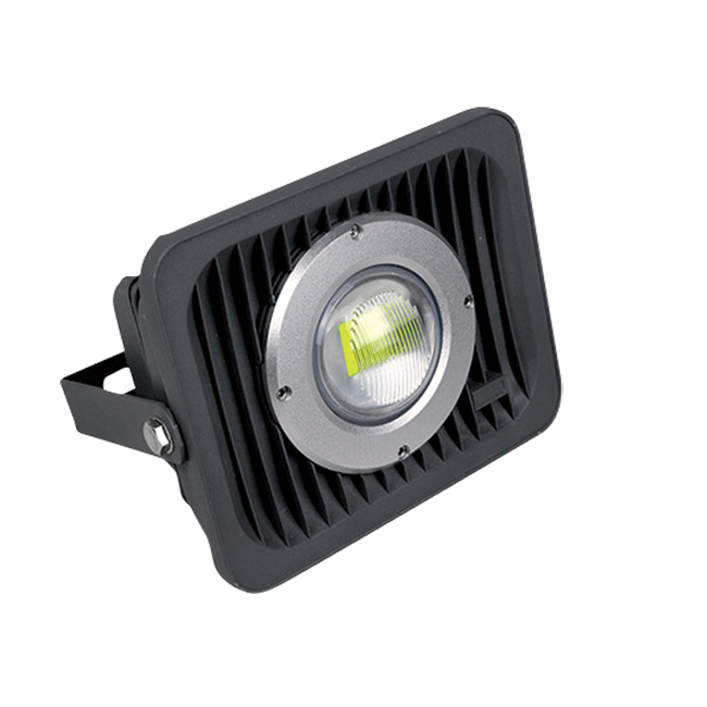 Proiector COB LED 50W cu Lupa la 220V