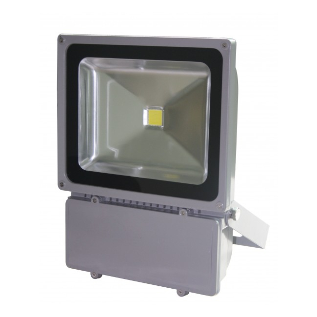 Proiector LED 100W Alb Rece 220V