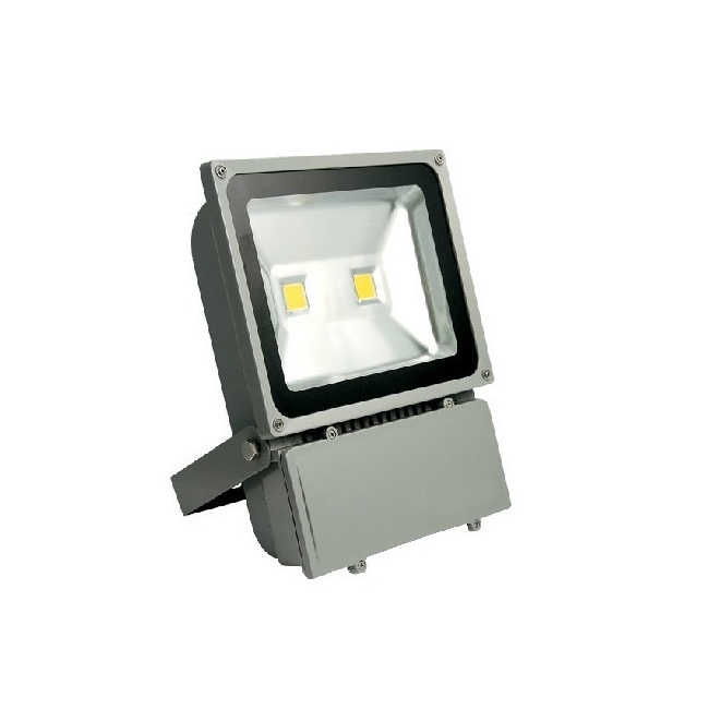 Proiector LED 100W Alb Cald 220V 2x50W