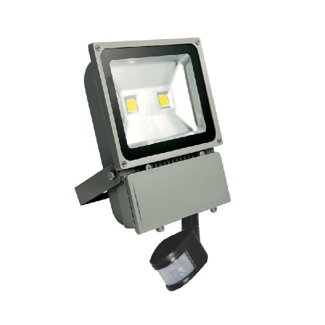 Proiector LED 100W cu Senzor Miscare Alb Rece 220V