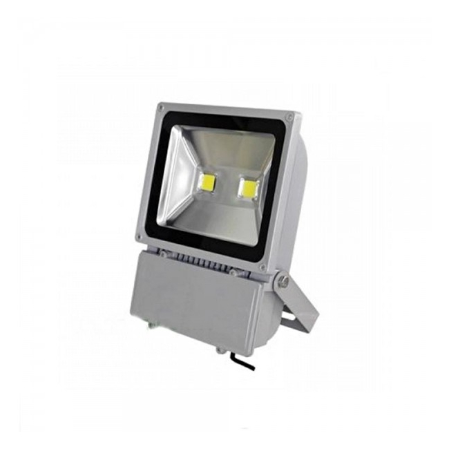 Proiector LED 120W Alb Rece 220V 2x60W