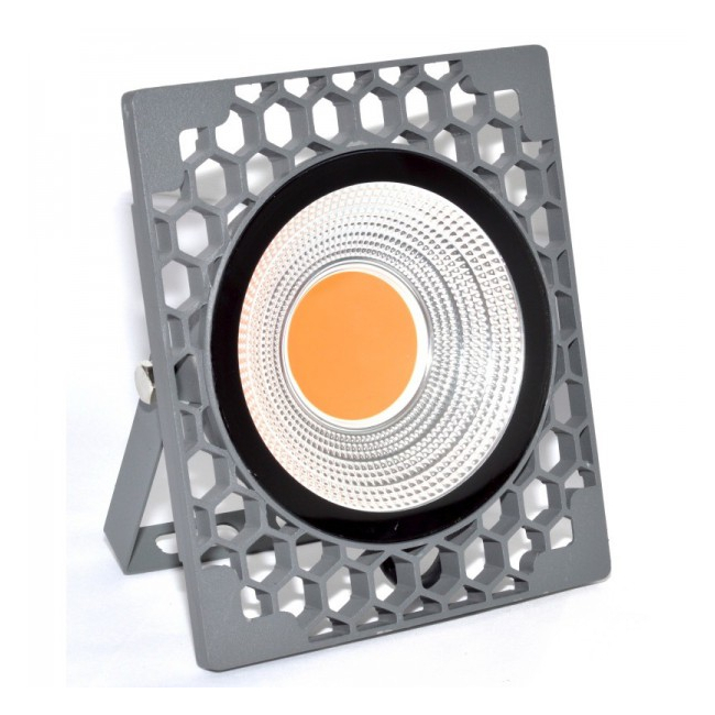 Proiector LED COB Rosu 220V 50W LED50R XXM