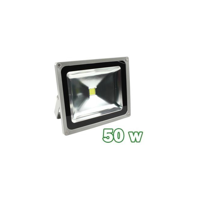 Proiector LED 50W Lumina Alba Rece W&T