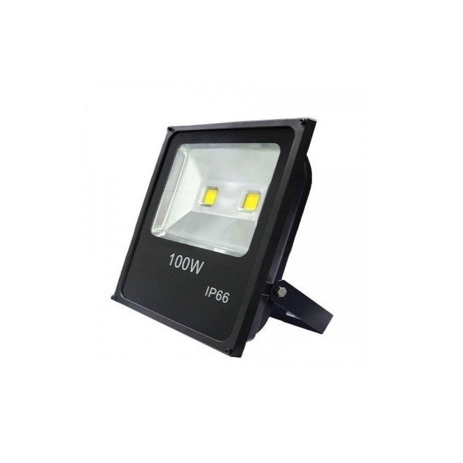 Proiector Slim LED 100W Alb Rece 6500K 220V 2x50W PRO1010-22100 XXM