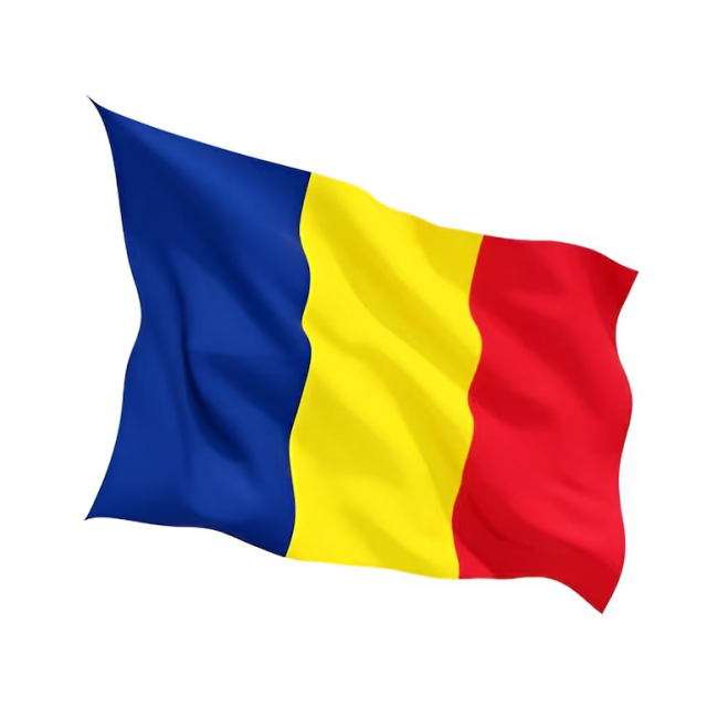 Set 10 Steaguri tricolor Romania textile Fara bete 90x150cm BRP