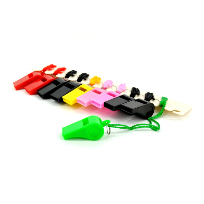 Set 24 Fluiere de Plastic Multicolor cu Snur Textil RBD BRP