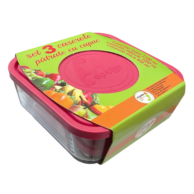 Set 3 Caserole Patrate Sticla cu Capace 2.1l 1.05l 0.45l SE0305BCL CNN51647