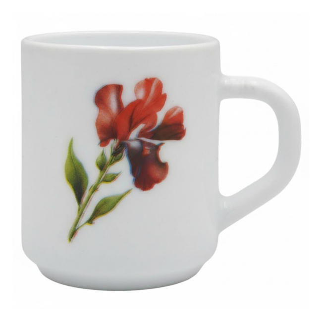 Set 6 Cani Cafea Opal Sabrina Red 250ml DNC67376